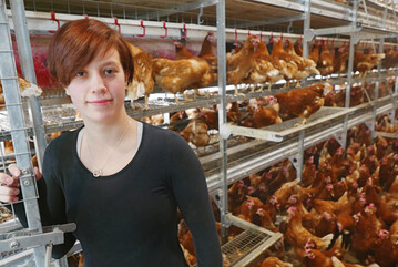 Ann-Cathrin Iflnder, Auszubildende im Beruf Tierwirt/Geflgelhaltung,
wurde innerhalb des Projekts Eigenkontrolle Tiergerechtheit geschult.
Im Betrieb Baumeister bonitiert sie die Hennen. 