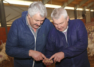 Ftterungsberater Paul Wilken von der Fa. Best 3 (l.) und
Betriebsleiter Ralf Dittmann prfen das Putenfutter im Stall. 