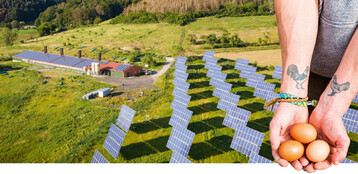 Mit der Photovoltaikanlage erzeugt der Mustergeflgelhof seinen eigenen
Strom  ganz im Sinne
eines geschlossenen Stoffkreislaufes. 