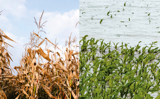     Die  Klimamodellaussagen  zeigen  fr  die  Lufttemperatur eine weiter fortschreitende Erwrmung in allen Jahreszeiten mit greren  Ausschlgen  zu  extremeren  Werten.  