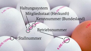 Kennzeichnung von Eiern