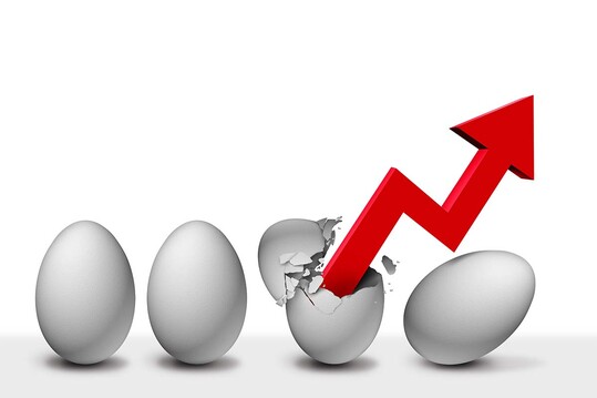 Zwischen 2011 und 2021 stieg die weltweite Eiererzeugung um fast 21?Millionen Tonnen.