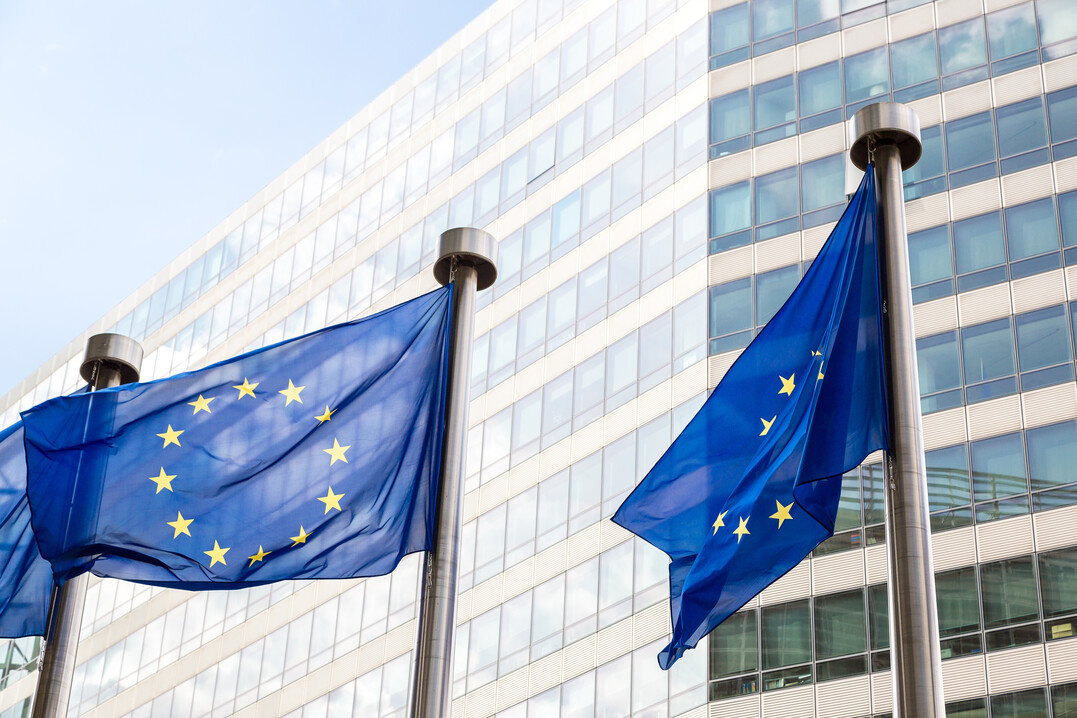 Die EU-Landwirtschaftsminister diskutierten beim letzten Treffen ber Laborfleisch und sehen noch viele offene Fragen bezglich der Zulassung von knstlich im Labor erzeugten Fleischprodukten.