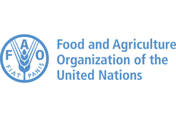 Die FAO-Botschaft lautet: Durch effizientere Tierhaltung lassen sich die grten Einsparungen bei Treibhausgasemissionen erzielen.