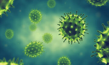 Beispiel eines Influenzavirus.