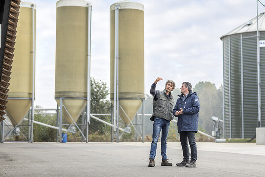 Kommt bald das Insekten-Futter fr Geflgel? Das Unternehmen ForFarmers testet in den Niederlanden Insekten-Mischfutter in Geflgelbetrieben.