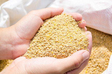 Der Deutsche Verband Tiernahrung e. V. (DVT) erwartet fr das Jahr 2022 einen Rckgang bei der Futtermittelproduktion von rund vier bis sechs Prozent.