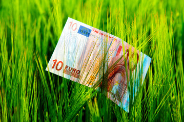Umfangreiche Beihilfenpakete sollen den Tierbestandsabbau in der niederlndischer Landwirtschaft sozial abfedern.