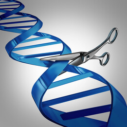 Bei der In-ovo-Geschlechtsbestimmung wird mit der Gen-Schere CRISPR/Cas ein fluoreszierendes Gen in das Z-Chromosom von Hennen eingefgt, wodurch mnnliche Bruteier markiert und bereits kurz nach dem Legen unter UV-Licht identifiziert werden knnen