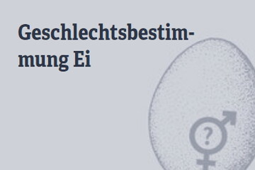 Die CDU/CSU-Bundestagsfraktion begrt die geplante nderung des Tierschutzgesetzes zur Ttung von Hhnerembryos.