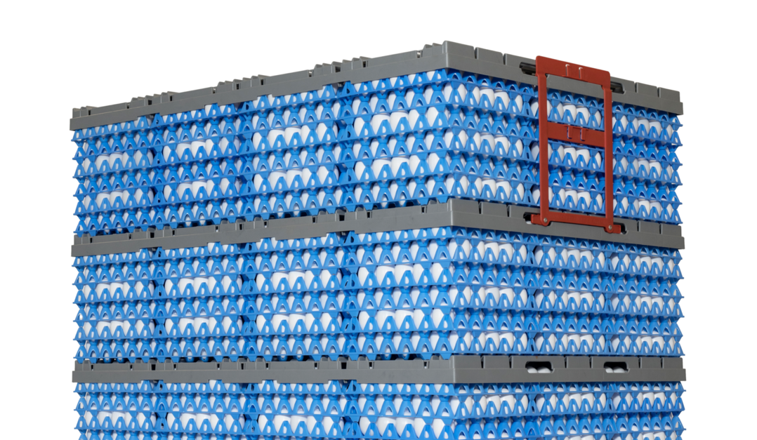 GI-OVO erffnet am 1. Januar 2024 seinen ersten Brostandort in den USA. Das Unternehmen ist auf Transport- und Verpackungenslsungen fr Eier spezialisiert.