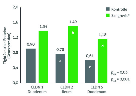 Abbildung 1: Landwirtschaftliche Universit�t Athen, Griechenland, Versuch mit Ross 308 Broilern, Tag 35 (CLDN = Claudin) (Paraskeuas et al. 2025)<br>