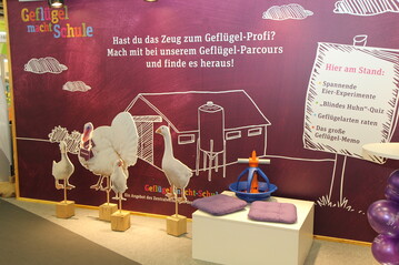 Stand der deutschen Geflgelwirtschaft auf der Grnen Woche in Berlin. Schmerzlich vermisst wurde bis zum Schluss das Masthhnchen im Reigen der in Lebensgre dargestellten Geflgelarten  was nicht niet- und nagelfest ist, macht sich mitunter selbststndig auf Messen...