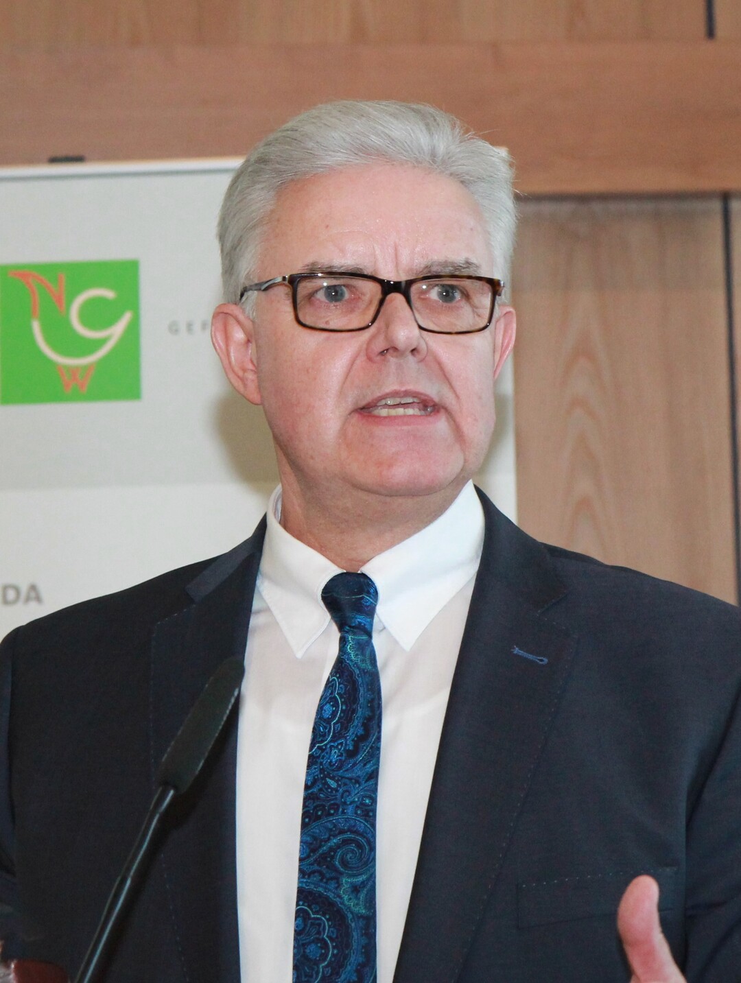 Der NGW-Vorsitzende Friedrich-Otto Ripke auf der NGW-Mitgliederversammlung am 10.12.2015.