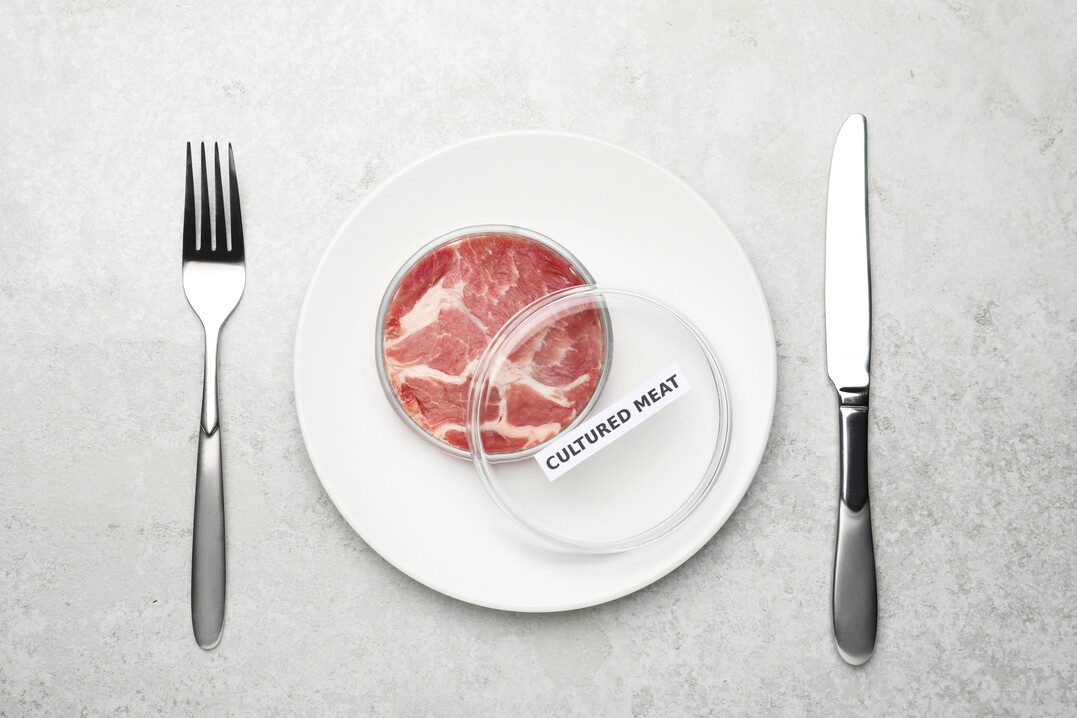 Noch ist Laborfleisch gegenüber konventionell erzeugtem Fleisch nicht wettbewerbsfähig.