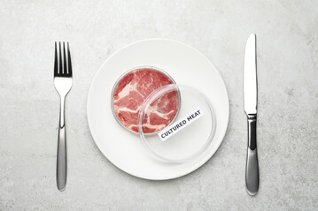 Laborfleisch wird in Italien nicht auf dem Teller landen.