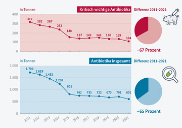 Wie hat sich der Antibiotika-Einsatz in der Tierhaltung entwickelt.?