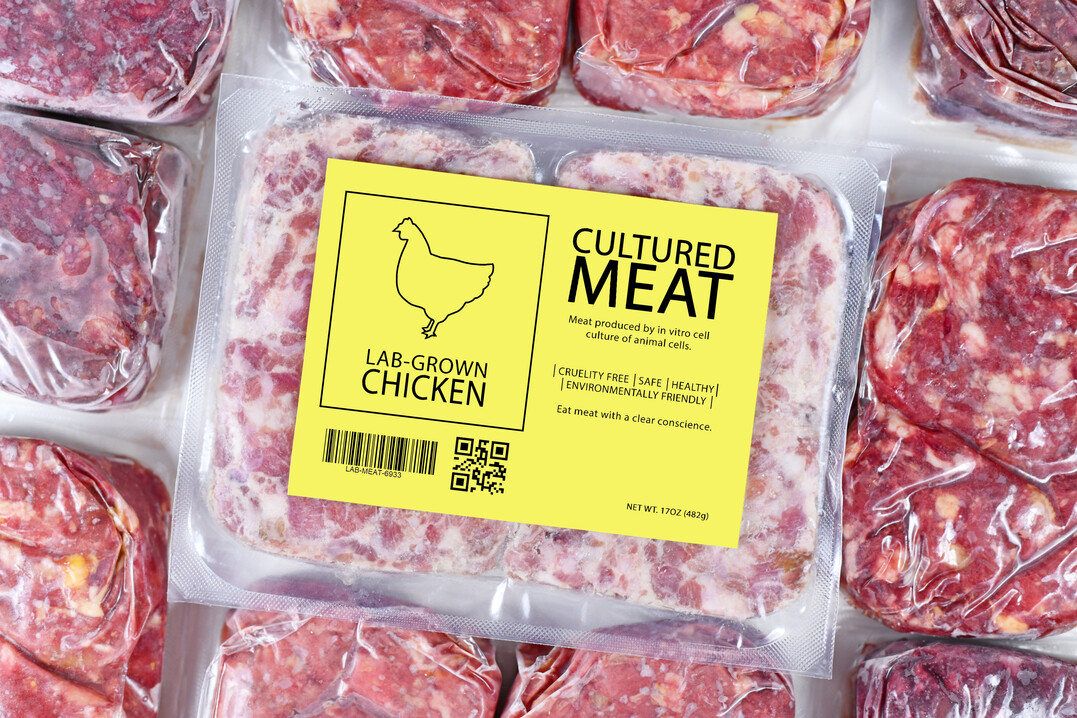 Fleisch aus Zellkulturen ist in der EU noch nicht zugelassen.