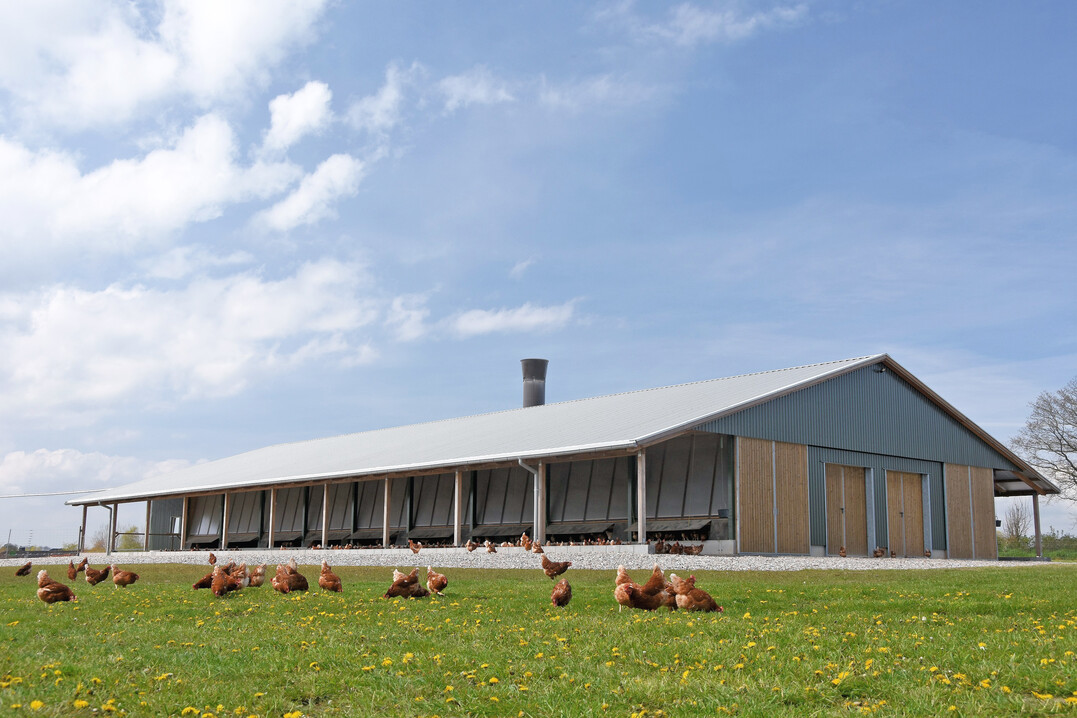 Das Agrarinvestitionsfrderungsprogramm richtet sich an Betriebe, die Investitionen in eine besonders artgerechte Tierhaltung (Stallbau) durchfhren und besondere Anforderungen in den Bereichen Umwelt- und Klimaschutz erfllen wollen.