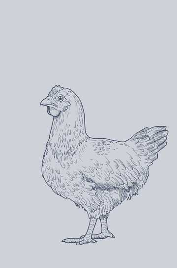 Tierwohl