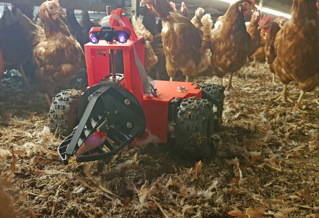Mittels 2D-Kamera, die Infrarotlicht nutzt, um auch bei schwachen Lichtverhältnissen Bilder generieren zu können, werden die Eier von dem Ovoraptor-Roboter gesucht. INTRO=ONINTRO=ON