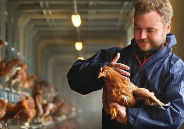 Bereits in dritter Generation fhrt die Familie Aigner ihren Betrieb mit 220 000 Legehennen.