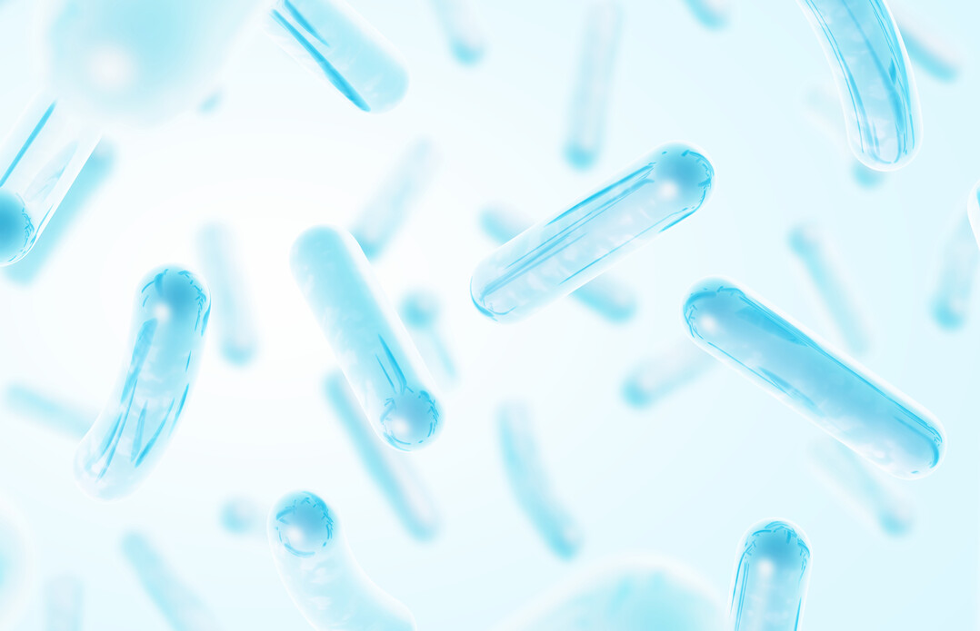 Probiotikahaben einen positiven Einfluss auf die Verdauung und die Darmgesundheit von Geflgel.