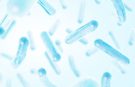 Probiotikahaben einen positiven Einfluss auf die Verdauung und die Darmgesundheit von Geflgel.