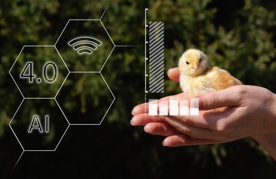 Mit der Web-Anwendung InKalkTier lassen sich zuknftig Haltungssysteme verschiedener Tierarten hinsichtlich Tierwohl, Emissionspotenziale und konomie vergleichen.