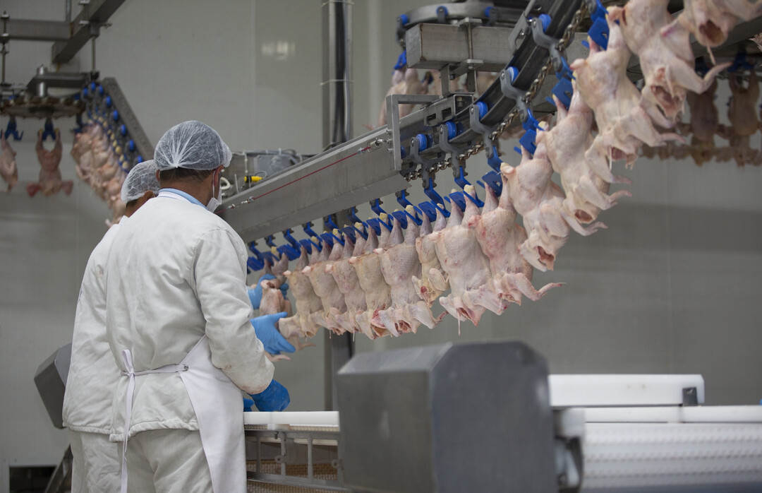 Technischer Fortschritt in der Tier- und Pflanzenproduktion sind effizientere Instrumente als Konsumverzicht, teure Produktionsstandards und Handelsbeschrnkungen, um Umweltverbesserungen zu erreichen. Das sagt der Autor der Studie.