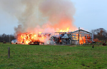 Das Bundeslandwirtschaftsministerium will den Brandschutz in Tierhaltungen verbessern.