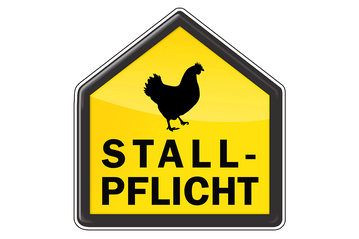 Der Landratsamt Neu-Ulm erlässt eine Aufstallungspflicht für Geflügel wegen zahlreichen Geflügelpest-Ausbrüchen bei Wildvögeln.