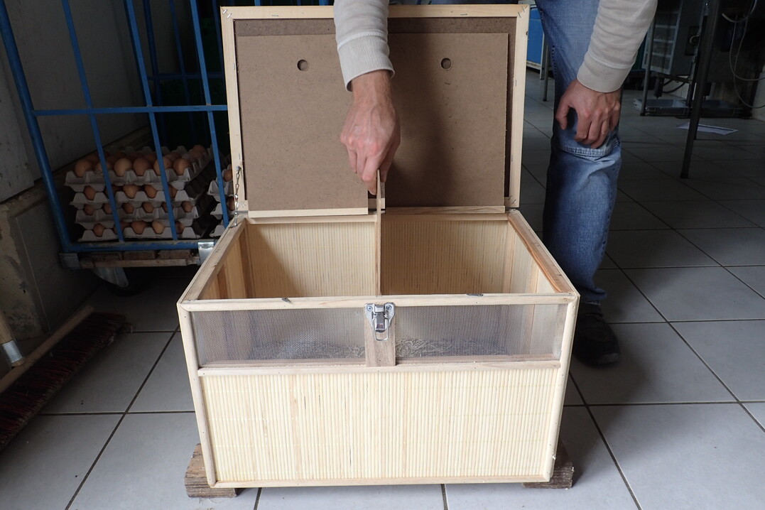 Eine solche Kiste kann eine Möglichkeit sein, um ein Einzeltier für wenige Stunden zu separieren.